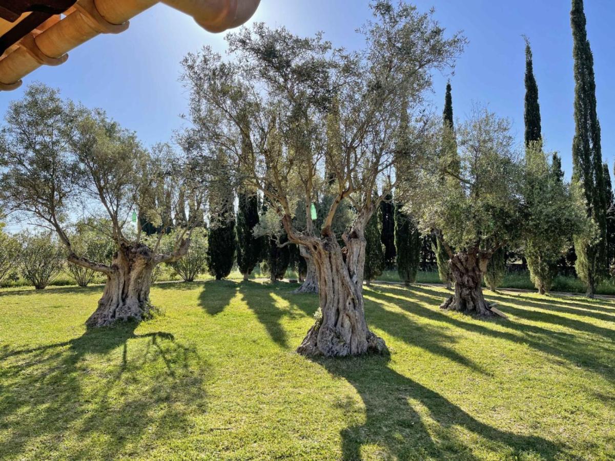 Finca Caseta Des Pradi Biel Lloseta Exterior foto
